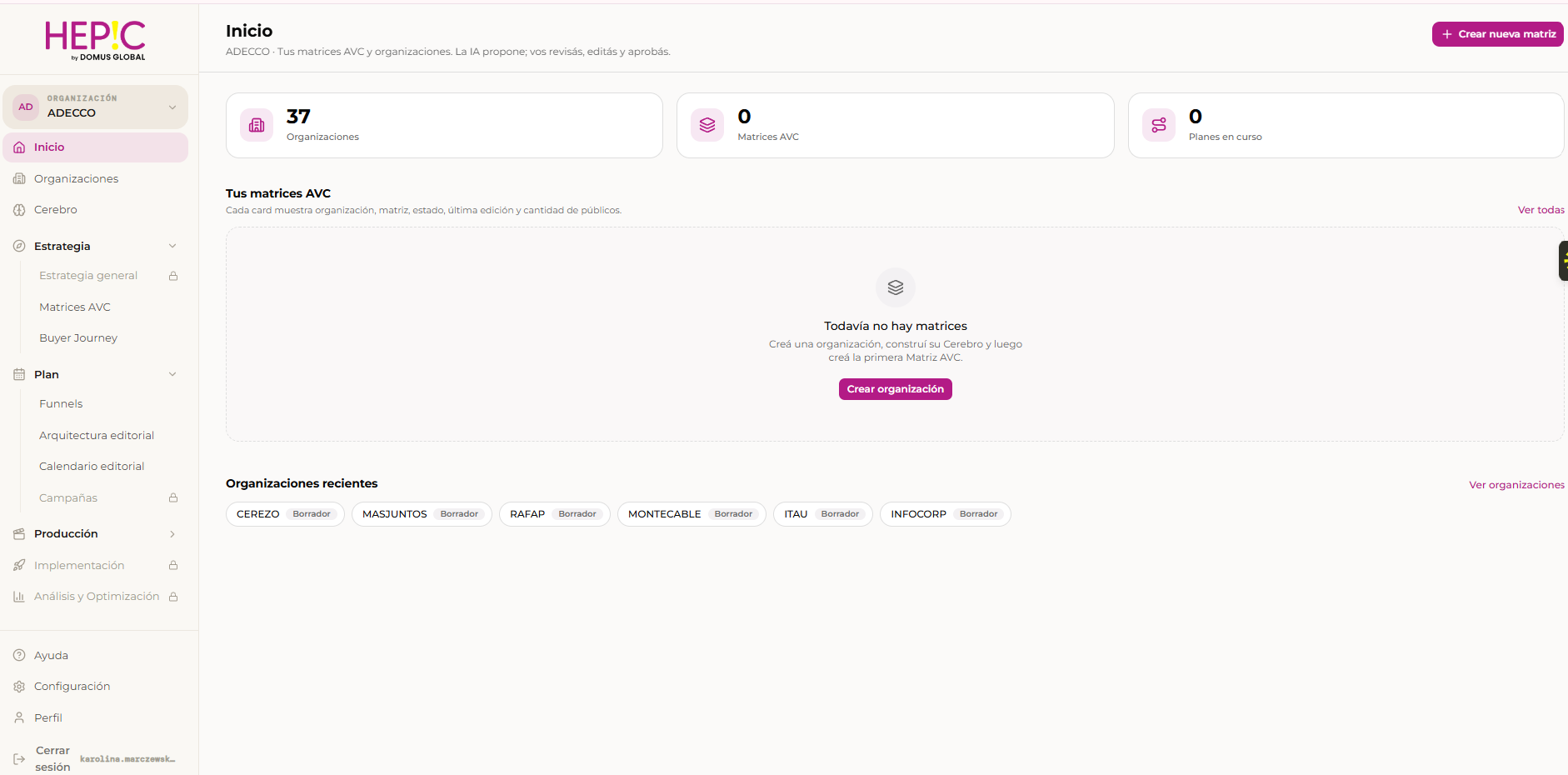 Dashboard de HEPIC IA mostrando organizaciones y matrices AVC